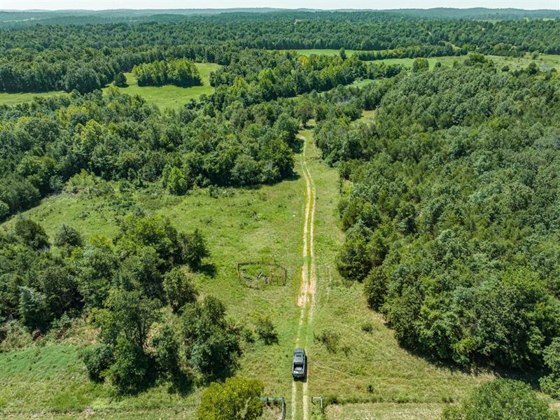 150 Acres, Pasture, Woods, Creek : Glencoe : Fulton County : Arkansas