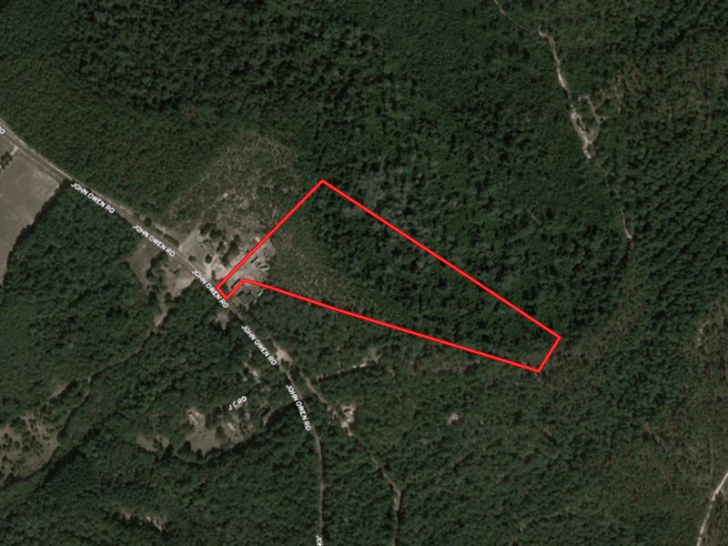 18.6 Acres of Hunting and Timberlan : White Oak : Bladen County : North Carolina