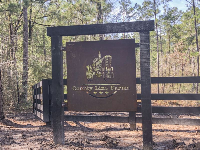 County Line Farms Tr 7 : Corrigan : Polk County : Texas