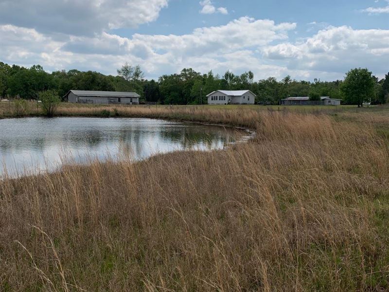 Chipley FL Horse, Farm, Hunting : Caryville : Washington County : Florida