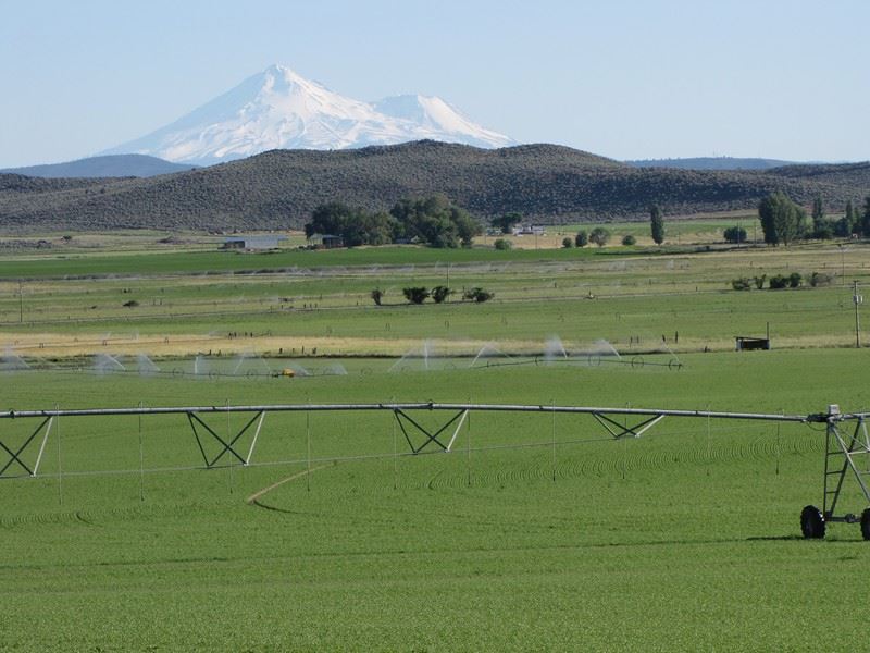 A Rare Find : Klamath Falls : Klamath County : Oregon