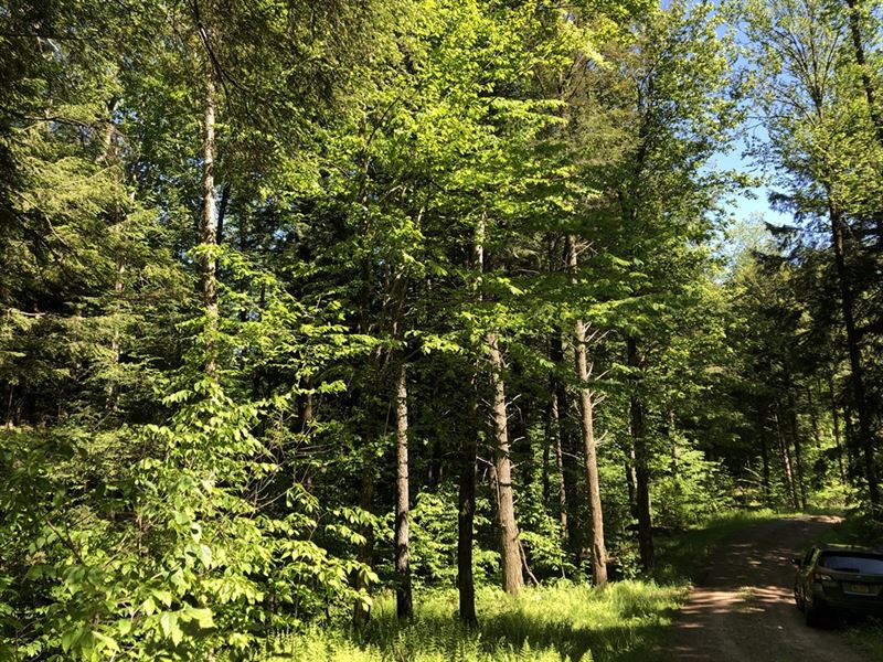 Deerland Park : Camden : Oneida County : New York
