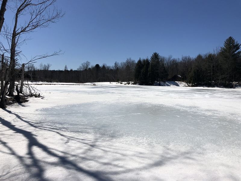 Carleton Pond Camp Site : Camden : Oneida County : New York