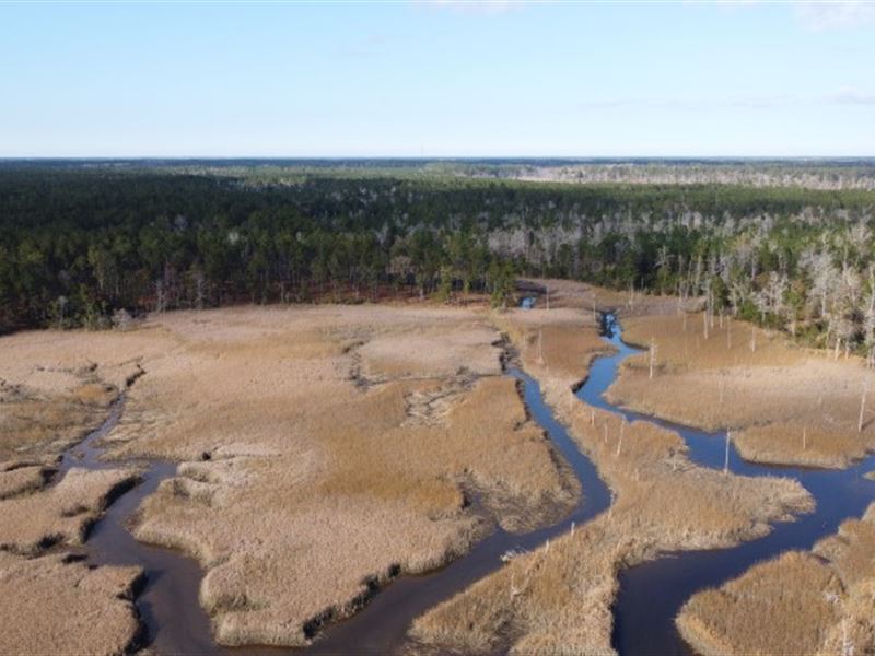 260 Acres, Sampit River Frontage : Georgetown : Georgetown County : South Carolina