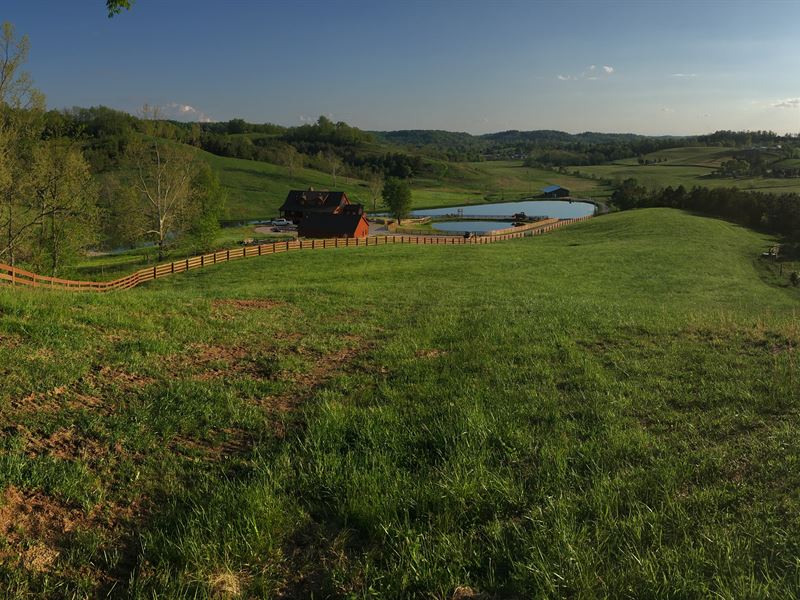 The Hogan 500 Ac Recreational Land : Gallipolis : Gallia County : Ohio