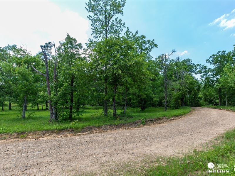 32.25 Acres Mountain Land Polk : Mena : Polk County : Arkansas