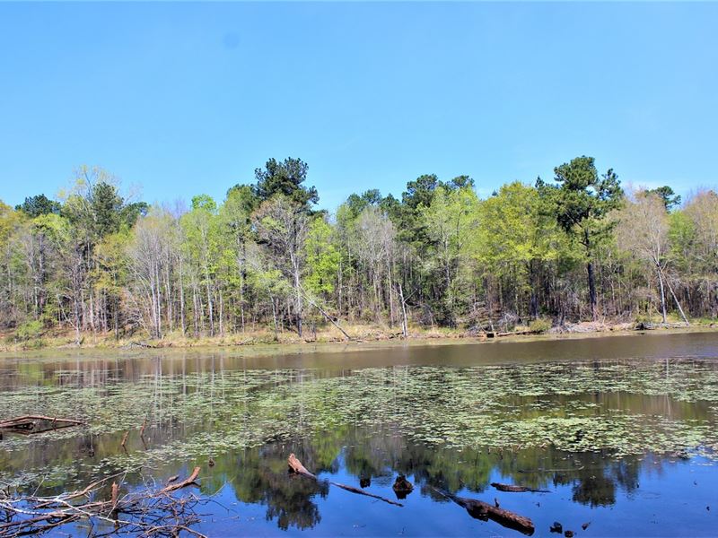 Beautiful 10+ Acre Lake : Gray : Jones County : Georgia