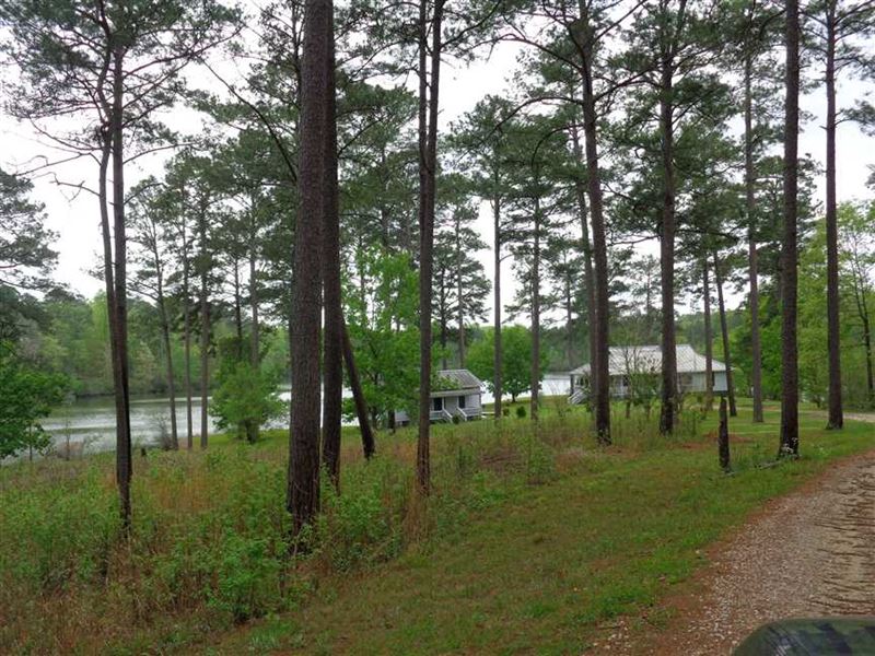 Large Hunting Tract in Midway, AL : Midway : Bullock County : Alabama