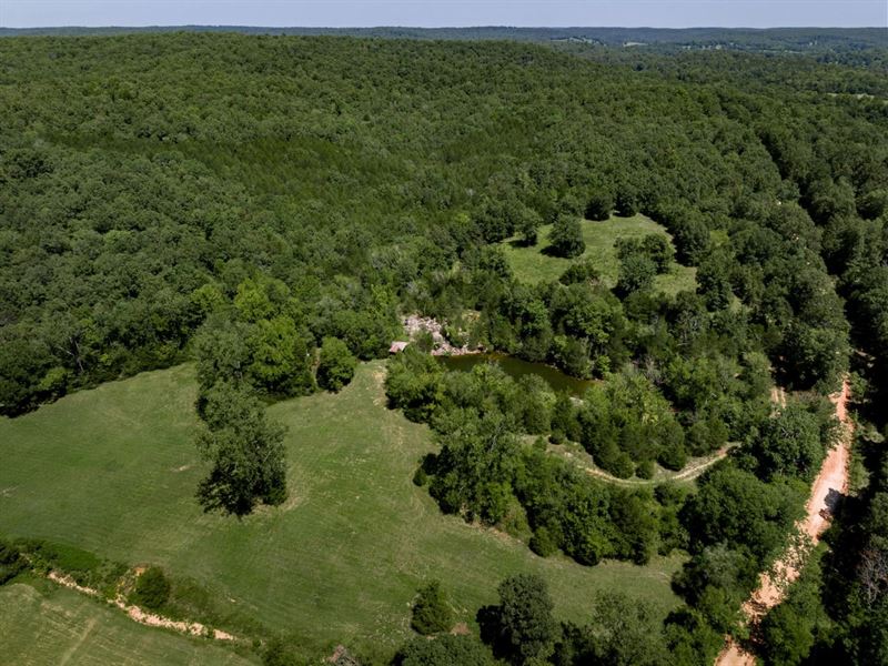 60 Acres, Pond, Gravel Road Fron : Williford : Sharp County : Arkansas