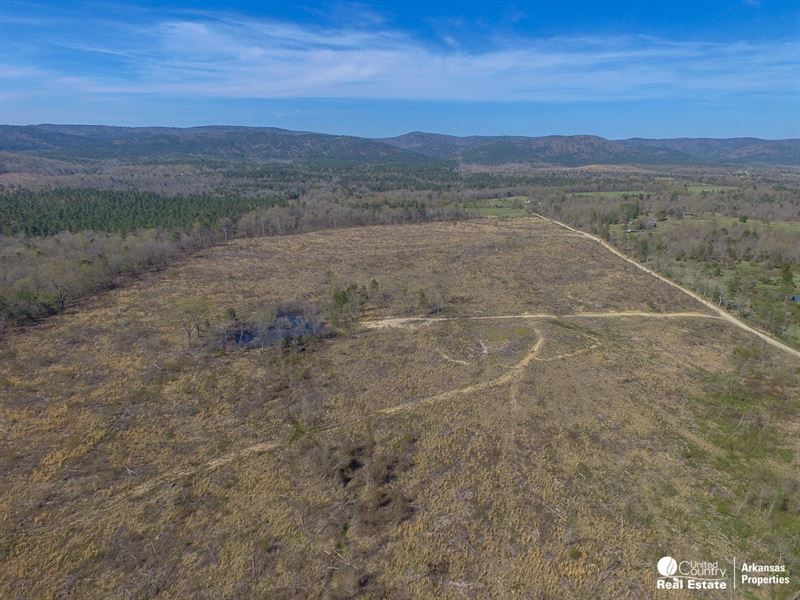 Acreage Cherry Hill Lots : Mena : Polk County : Arkansas