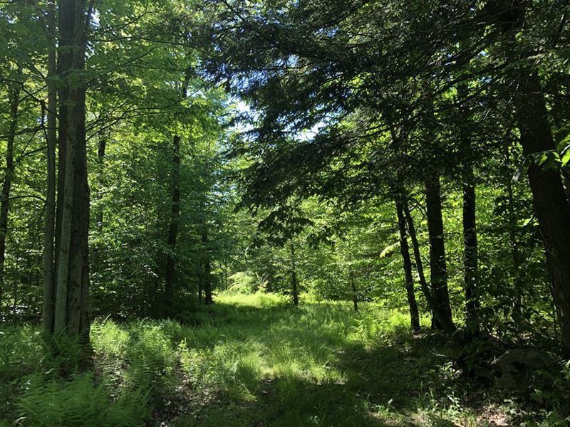 Hunter's Dream : Camden : Oneida County : New York
