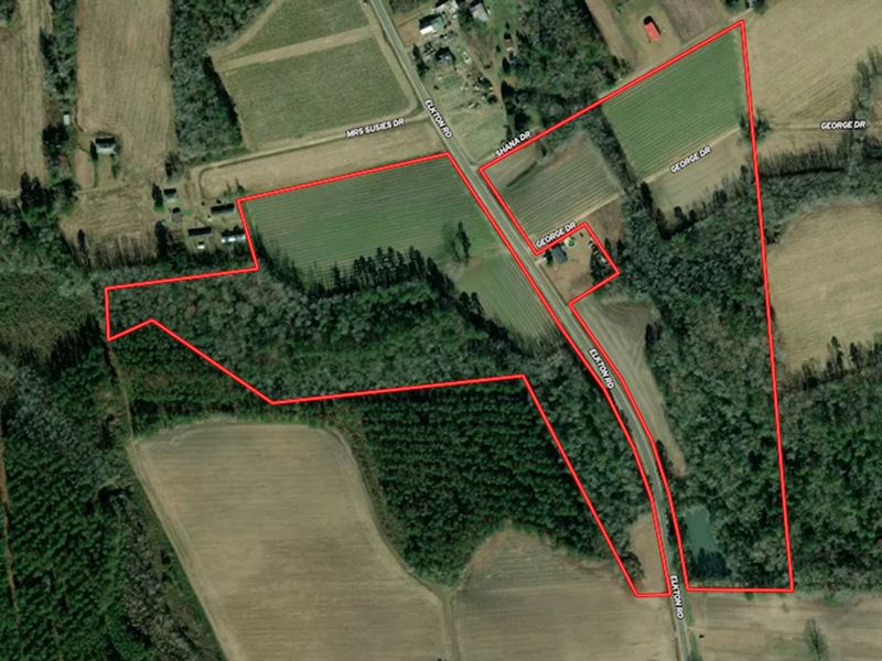 45.56 Acres of Farm and Hunting Lan : Clarkton : Bladen County : North Carolina