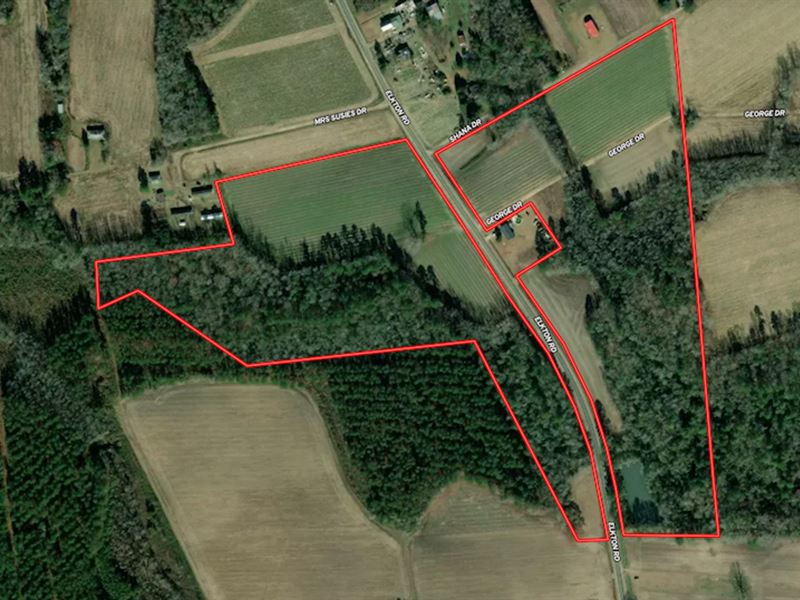 45.56 Acres of Fa : Clarkton : Bladen County : North Carolina