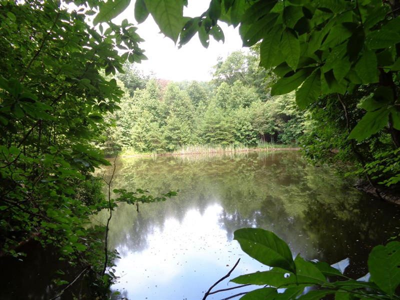 Great Hunting Area : Sneedville : Hancock County : Tennessee