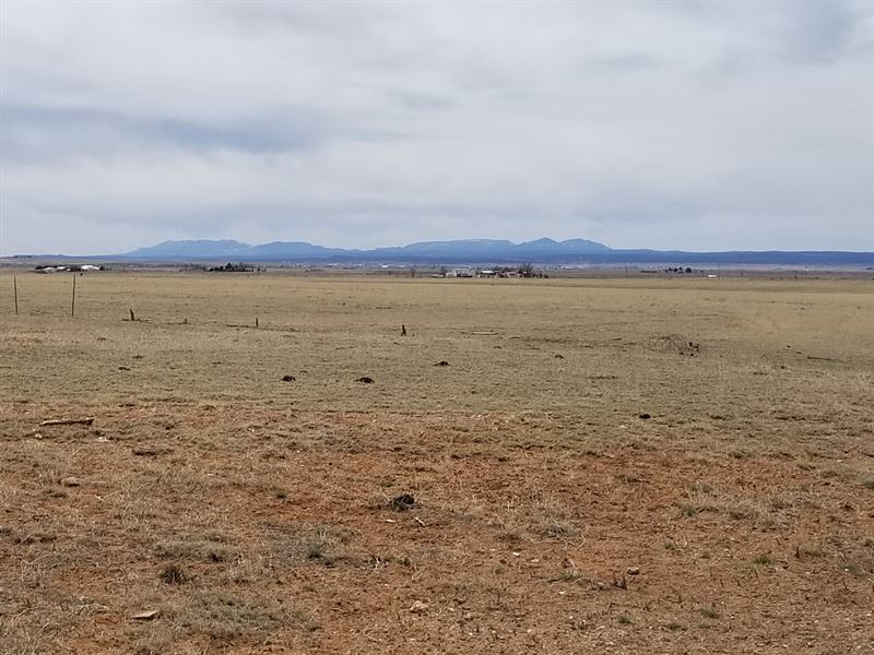 Land Stanley NM Easy Access : Stanley : Santa Fe County : New Mexico