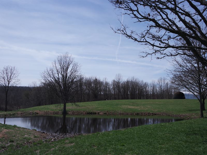 Land for Sale in Southern Missouri : Norwood : Douglas County : Missouri