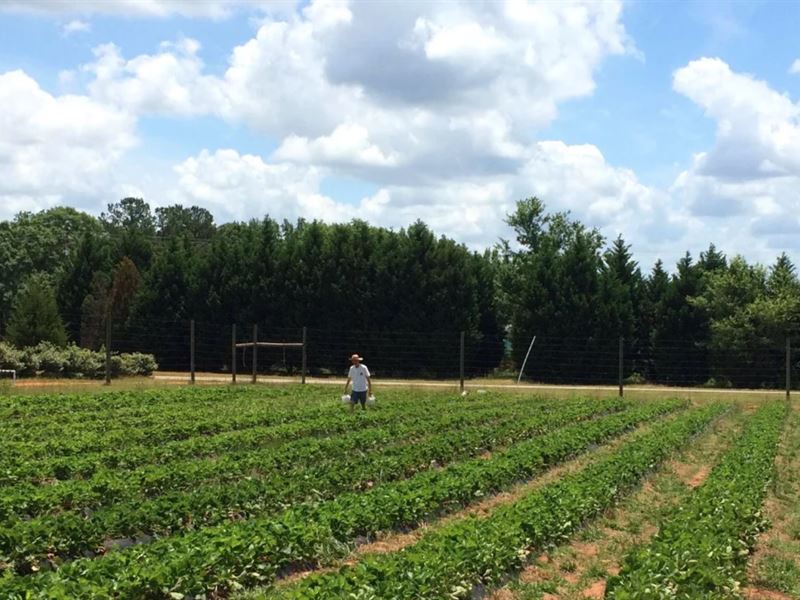 Twin Oaks Fun Farm : Forsyth : Monroe County : Georgia