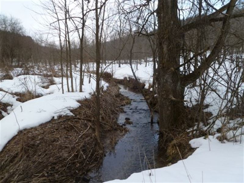 Amazing Diversity Sanctuary Retreat : Bear Creek : Sauk County : Wisconsin