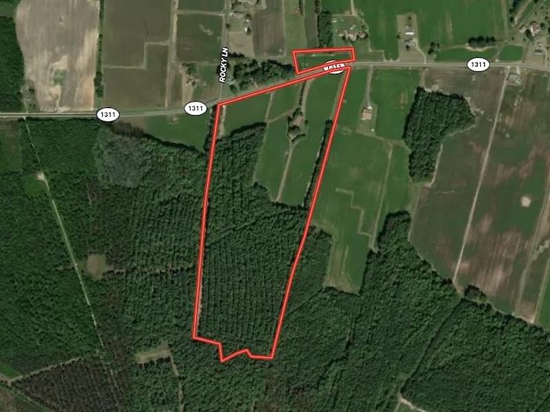49.85 Acres of Fa : Garysburg : Northampton County : North Carolina