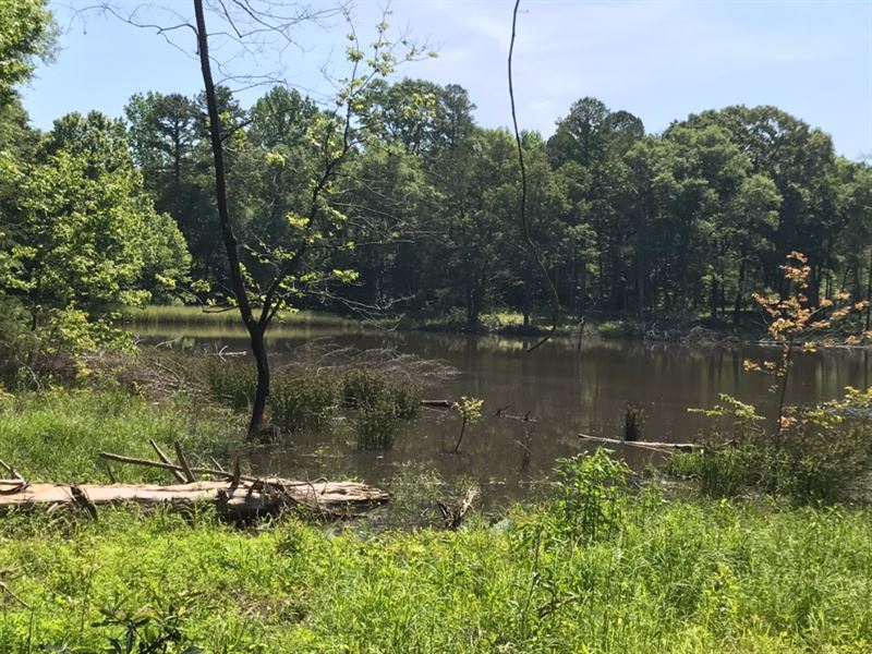Ebenezer Getaway : Lexington : Holmes County : Mississippi