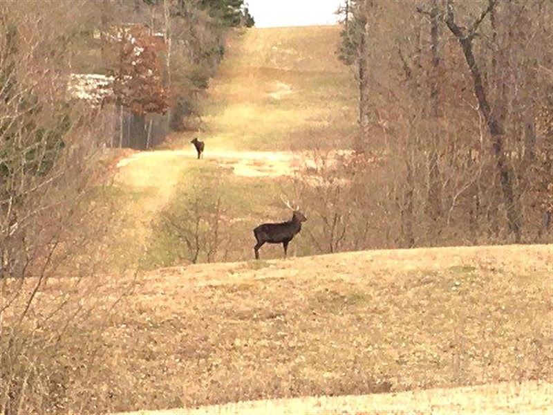 The Ridge at Pine Hills, Caddo Pari : Blanchard : Caddo Parish : Louisiana