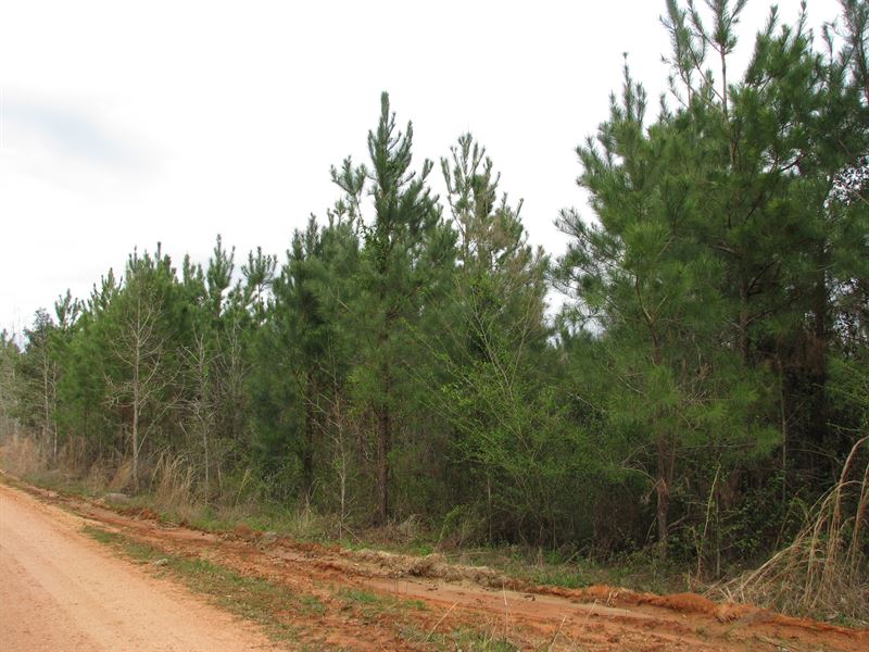 Nice Home Site in The Country : Brewton : Escambia County : Alabama