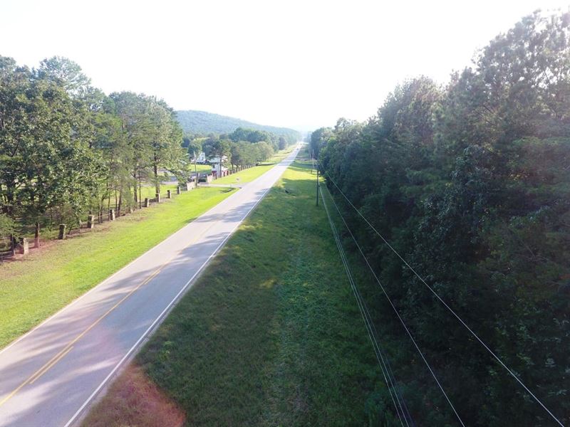 43 Acres Colbert County Highway 247 : Tuscumbia : Colbert County : Alabama