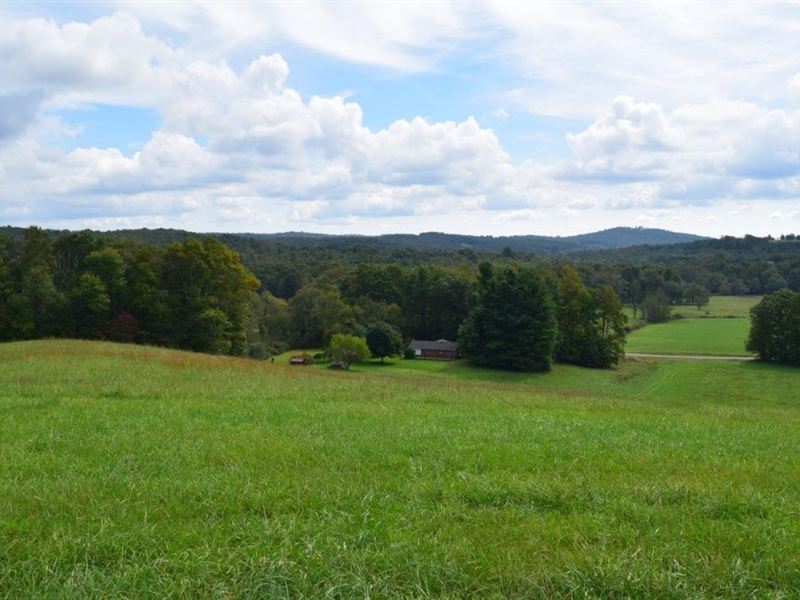 Farm Land in Meadows of Dan VA : Meadows Of Dan : Patrick County : Virginia
