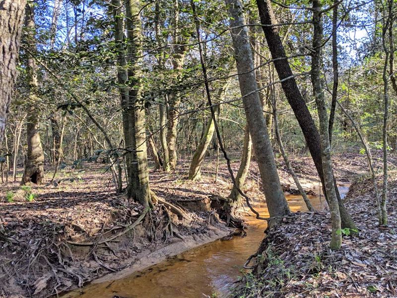The Upper McInnis Creek Tract : Ariton : Dale County : Alabama