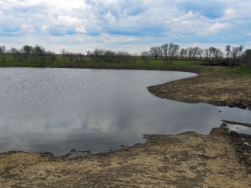 23+ Acres, Pond & Arena : Rogers : Bell County : Texas