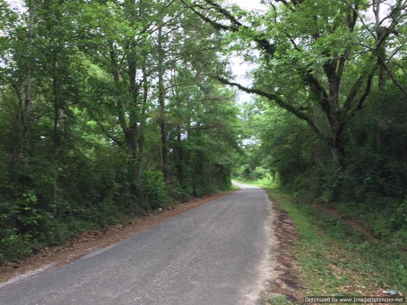 Country Living with Hunting : Ruth : Lincoln County : Mississippi