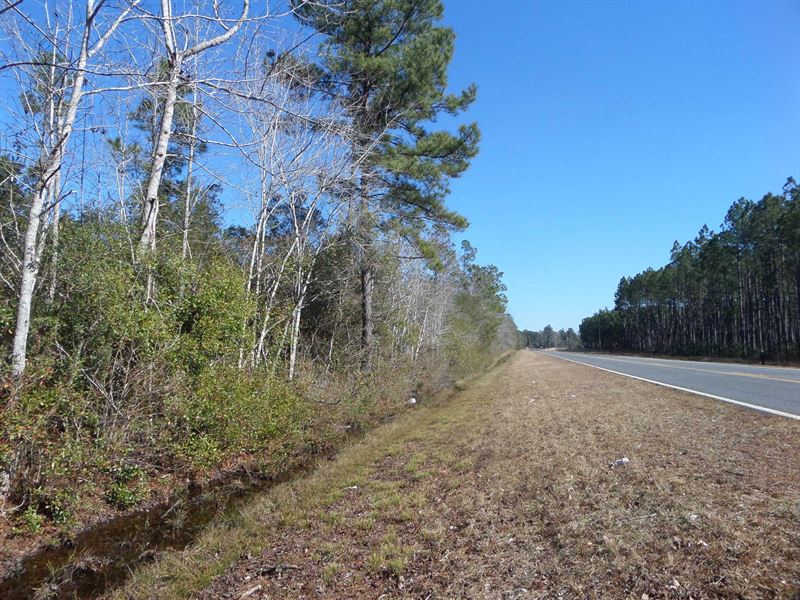 Unrestricted Land Near Gardi Commun : Jesup : Wayne County : Georgia