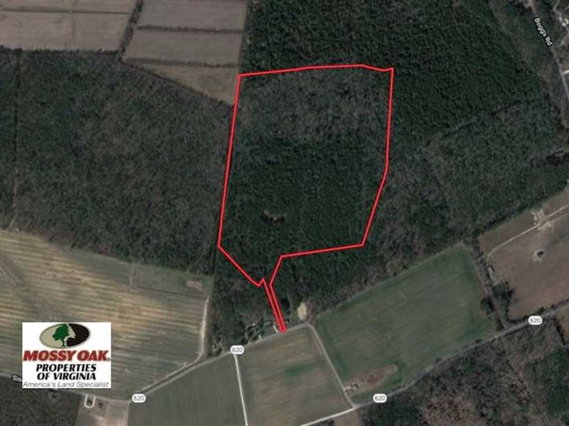 Under Contract, 42 Acres of Hunti : Painter : Accomack County : Virginia