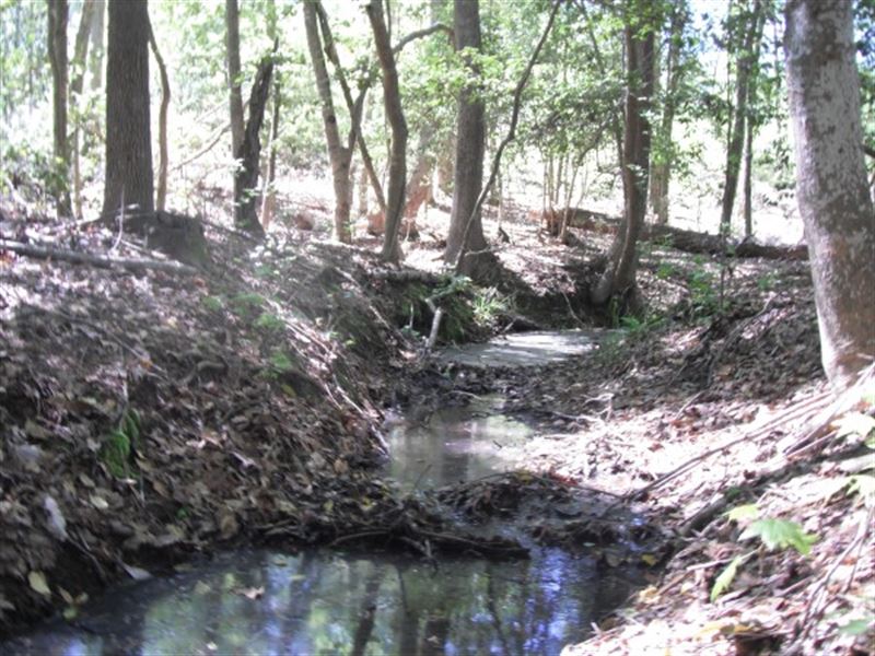 17.17 Acres, Kershaw County, Sc : Camden : Kershaw County : South Carolina