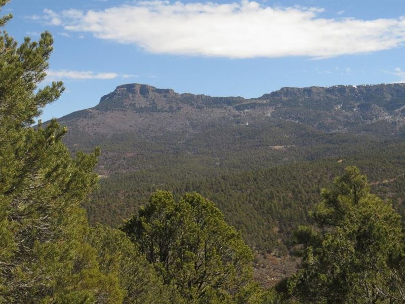 19 Santa Fe Trail Ranch : Trinidad : Las Animas County : Colorado