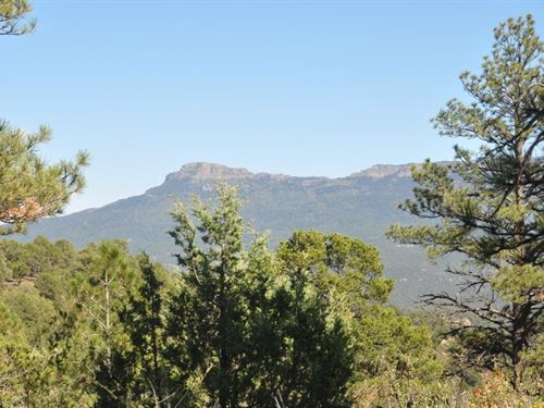 B70 Santa Fe Trail Ranch : Trinidad : Las Animas County : Colorado