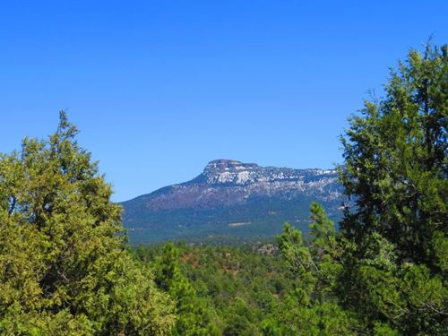 D4 Santa Fe Trail Ranch : Trinidad : Las Animas County : Colorado