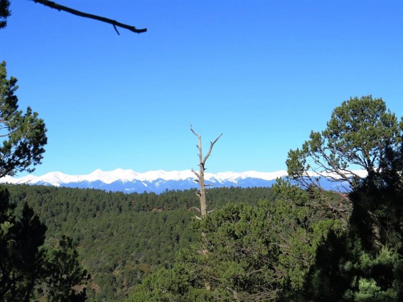 E14 Santa Fe Trail Ranch : Trinidad : Las Animas County : Colorado