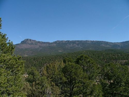 17 Santa Fe Trail Ranch : Trinidad : Las Animas County : Colorado