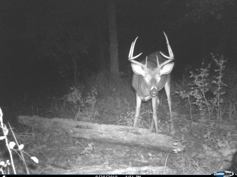 758 Wilkesville Ave : Hamden : Vinton County : Ohio