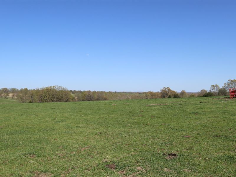 Ozarks Cattle Farm Building Sites : Mammoth Spring : Fulton County : Arkansas