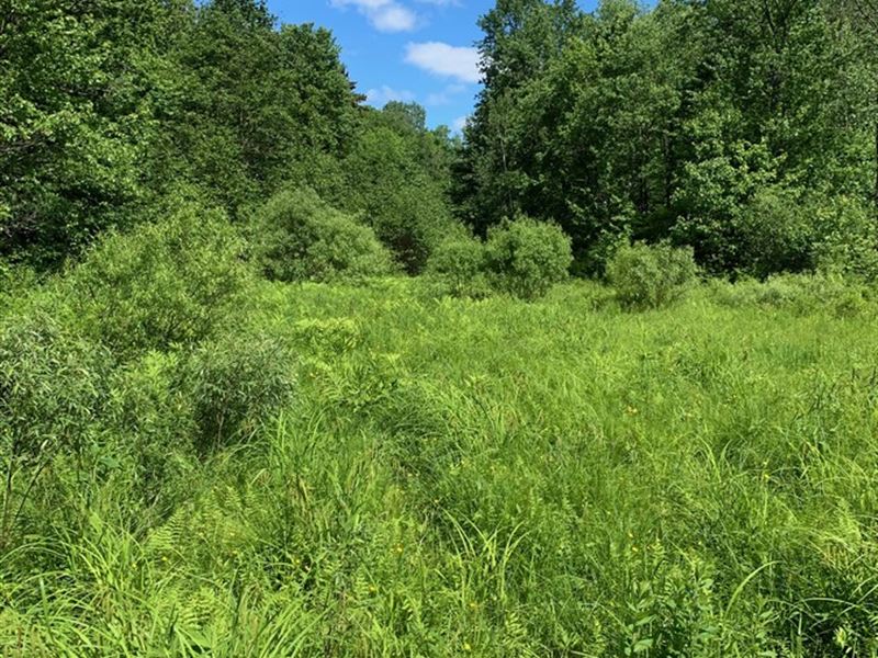 Stone Hill Acres : Williamstown : Oswego County : New York