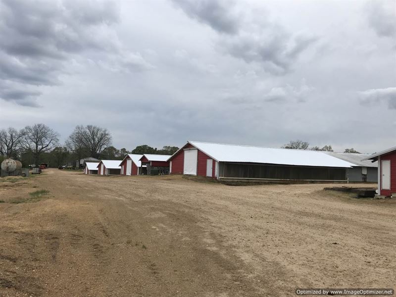 Poultry & Cattle Farm : Wesson : Copiah County : Mississippi