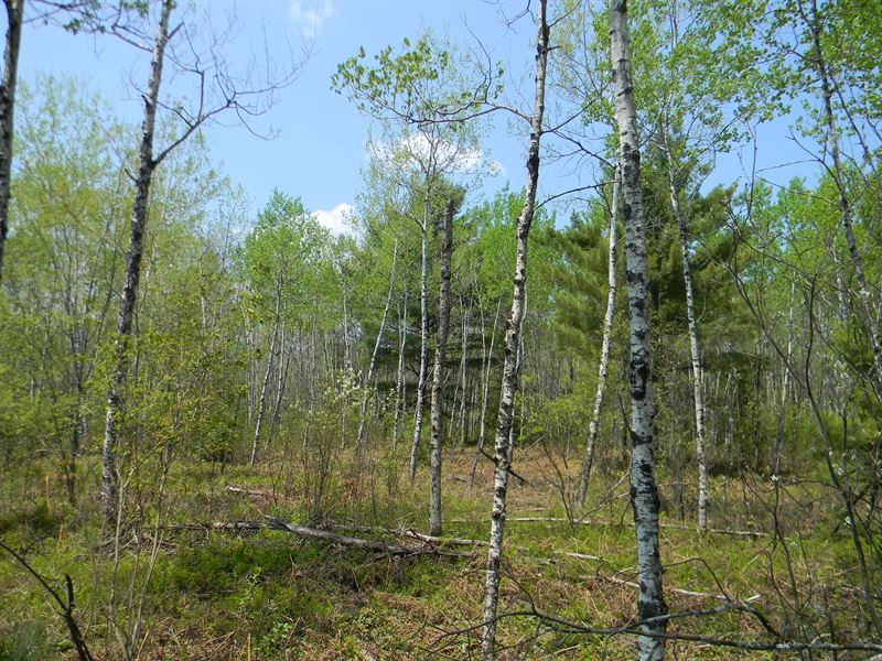 Rock Crusher Rd, Holmes Lake 120 : Crystal Falls : Iron County : Michigan