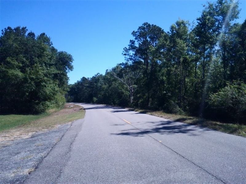 56 Acres in Cottonwood, AL : Cottonwood : Houston County : Alabama