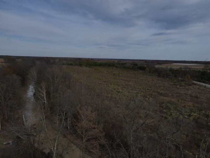 Jefferson 30 Ac : Tucker : Jefferson County : Arkansas