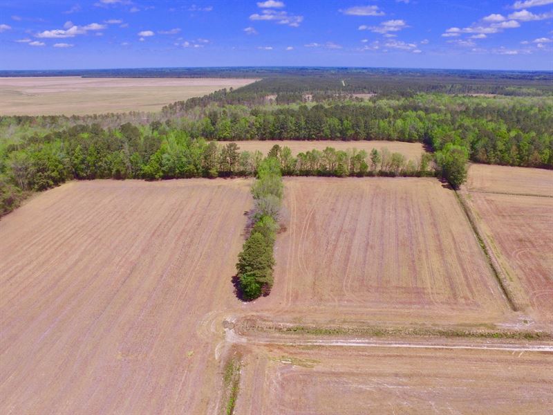 Farm/Hunting Tract Beaufort County : Chocowinity : Beaufort County : North Carolina