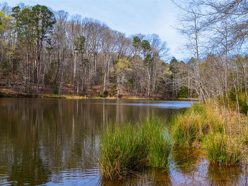 38+/ Acres with Large Private Pond, Ranch for Sale in South Carolina