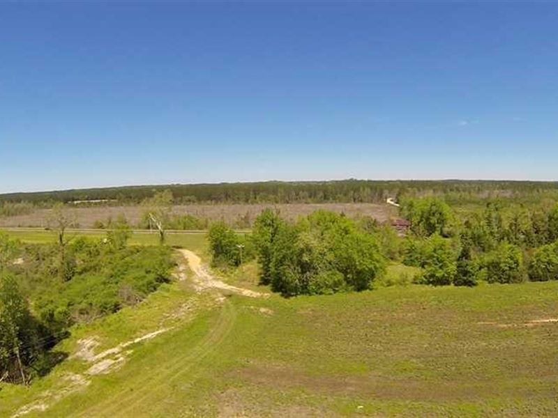 254.77 Acres in Spring Lake, Ha : Spring Lake : Harnett County : North Carolina