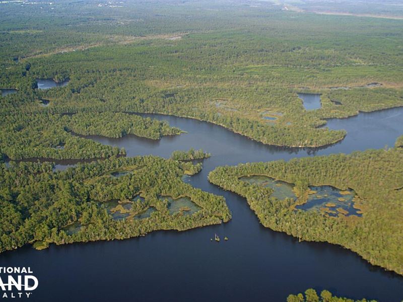 The Perdido and Blackwater River WA : Elberta : Baldwin County : Alabama